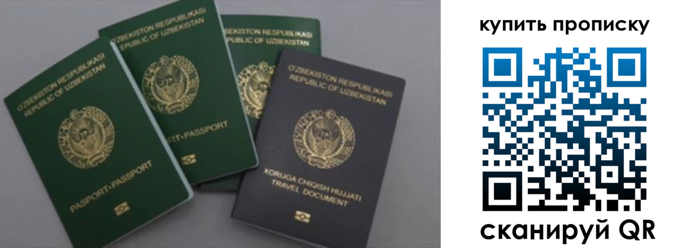прописка законно в Пятигорске